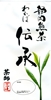 伝承(わかば)